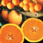 Soufflé de naranja y mandarina